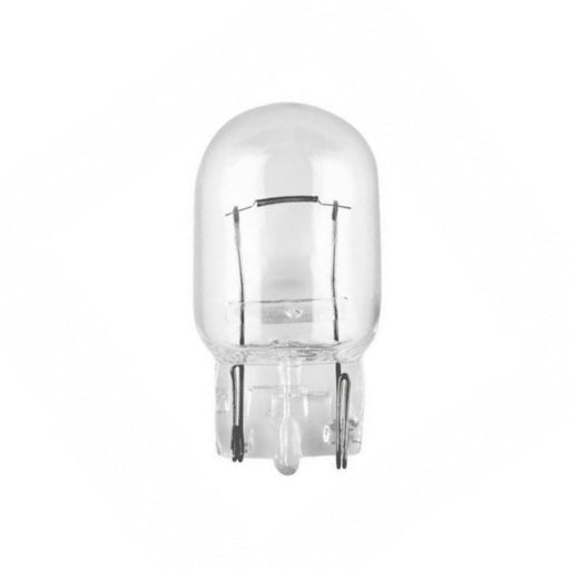 Ampolleta T15 12V 10W 1 Contacto Cola Pescado - BRM