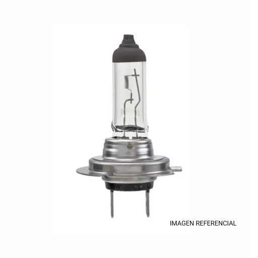 Ampolleta H7 12V 55W PX26D Day Light BRM - BRM