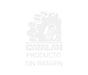 Neumático 195 R14C 106/104Q 8PR (8 TELAS) (Carga) - WILLEKING